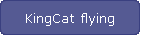 KingCat flying